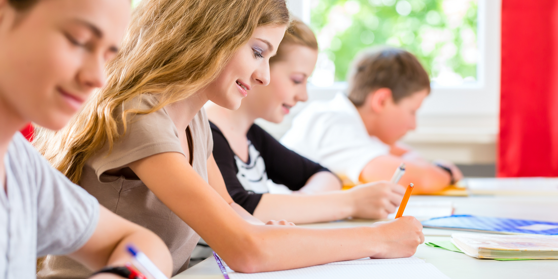 Approaching Word Classification Questions on the HSPT