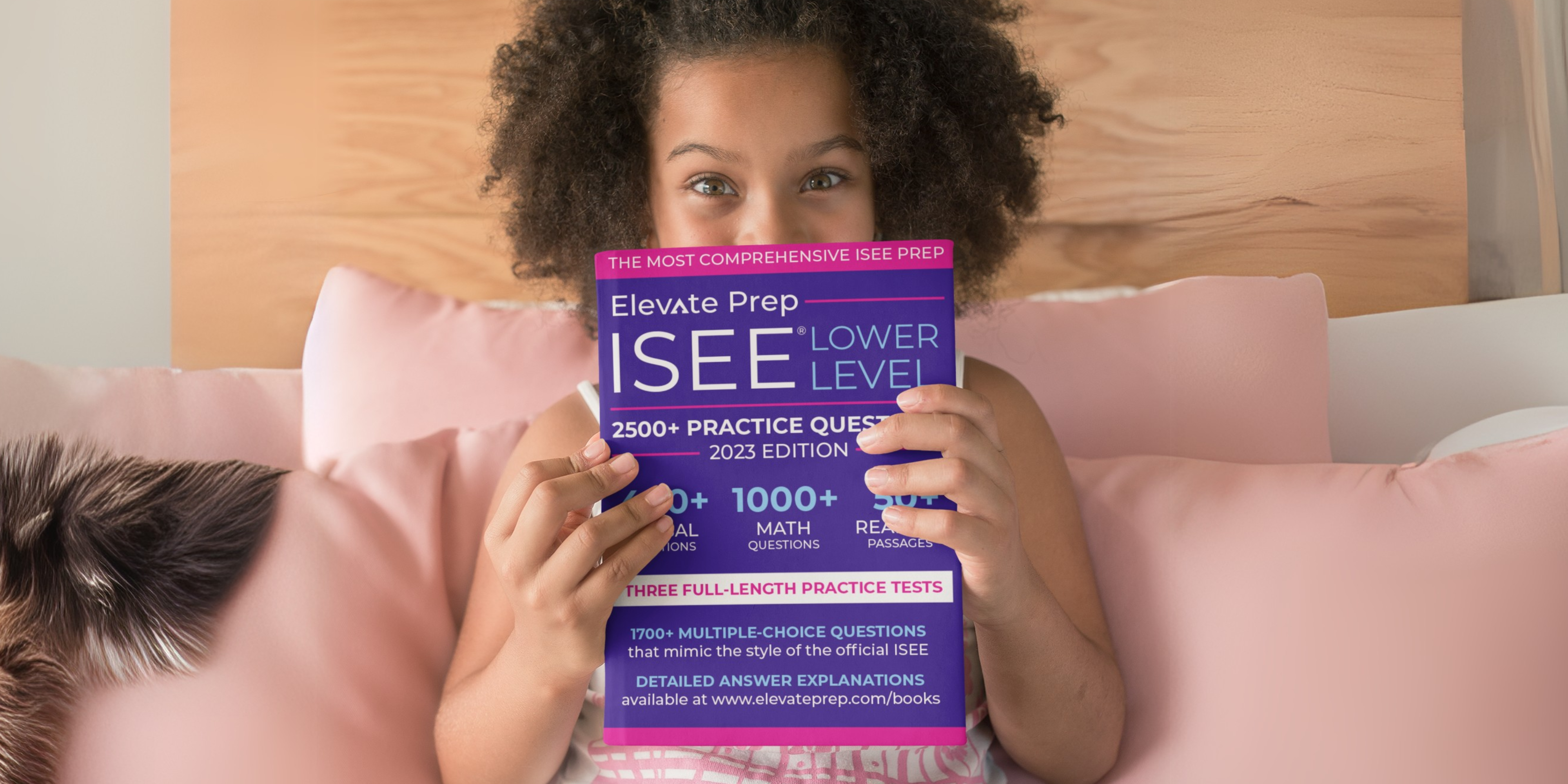 Overview of the ISEE Lower Level