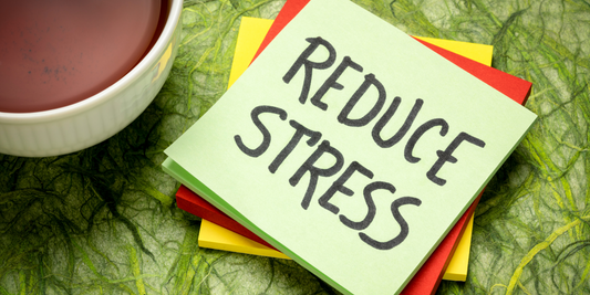 Tips for Making the ISEE Test Prep Process Less Stressful